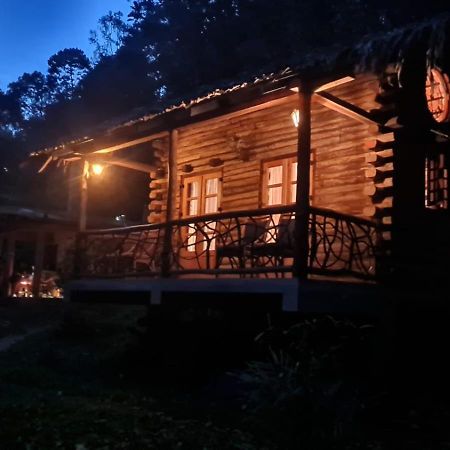 Aya Natural Udumbanshola Dış mekan fotoğraf